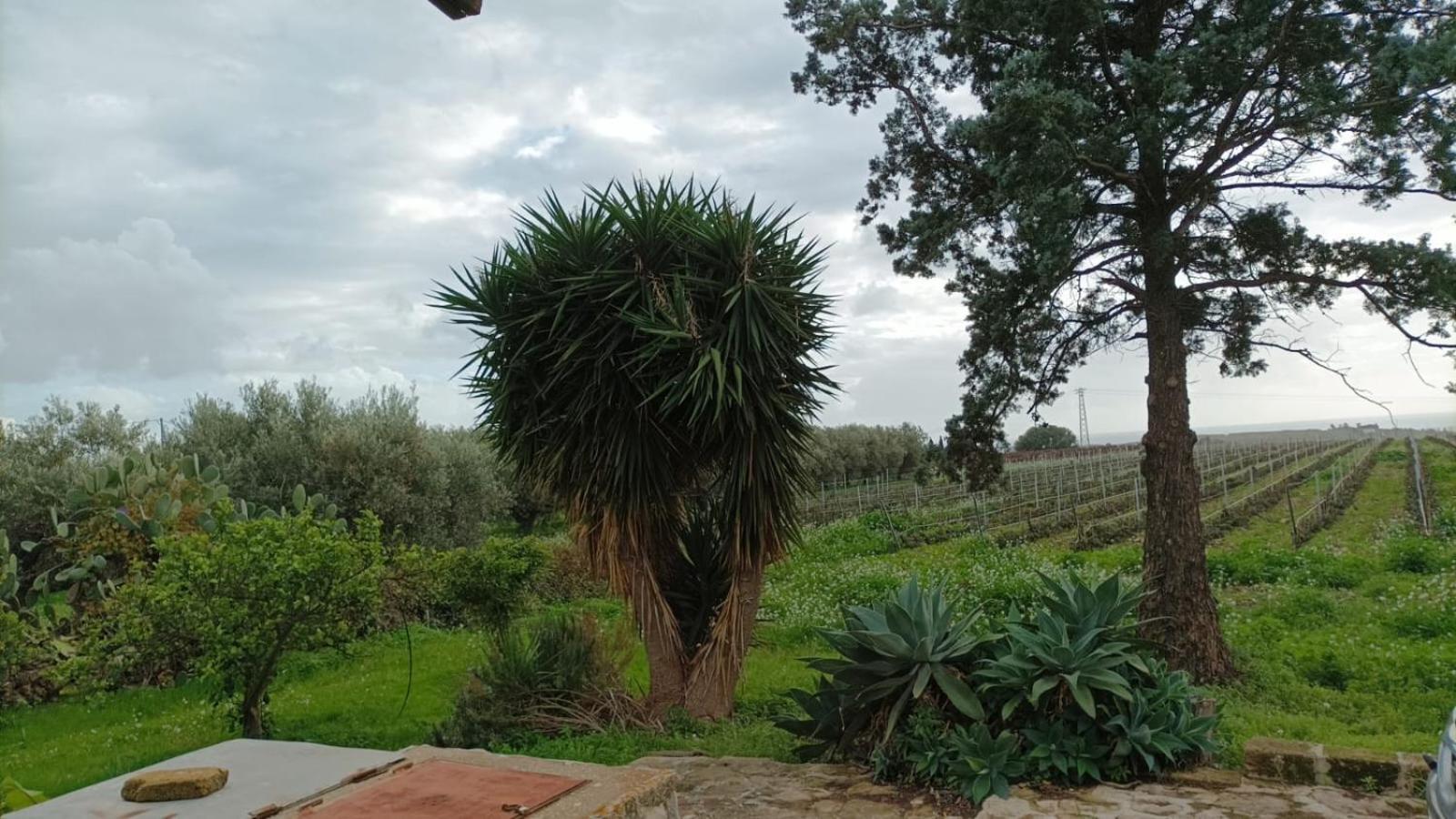 Casa Bouganville Villetta Tra Le Vigne E Il Mare مينفي المظهر الخارجي الصورة